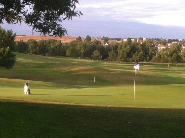 South Suburban Golf Course