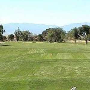 Desert Hawk at Pueblo West
