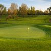 A sunny view of green at Fox Hill Country Club